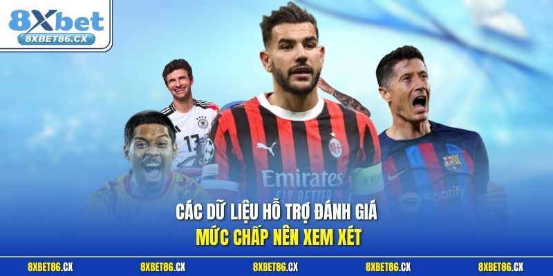 Các dữ liệu hỗ trợ đánh giá mức chấp nên xem xét